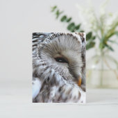 OWL BRIEFKAART (Staand voorkant)
