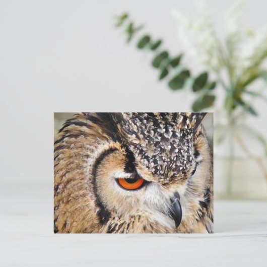 OWL BRIEFKAART (Staand voorkant)