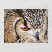 OWL BRIEFKAART (Voorkant)