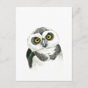 Owl Briefkaart