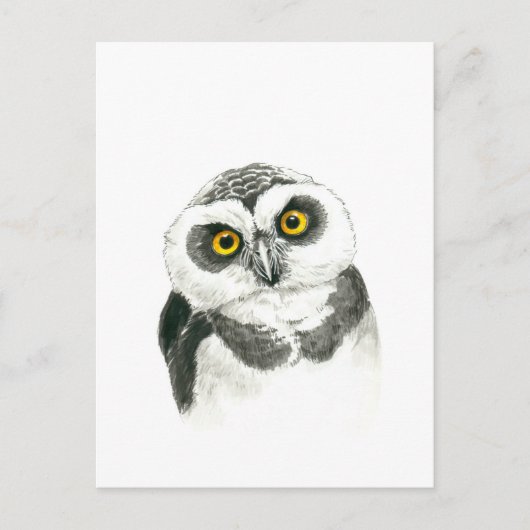 Owl Briefkaart (Voorkant)