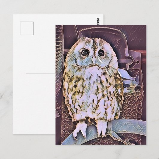 OWL BRIEFKAART (Voorkant / Achterkant)