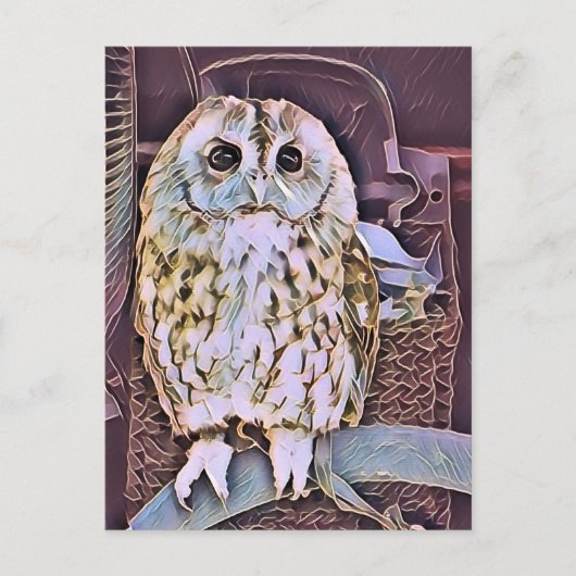 OWL BRIEFKAART (Voorkant)