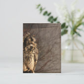 Owl Briefkaart (Staand voorkant)