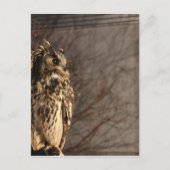Owl Briefkaart (Voorkant)
