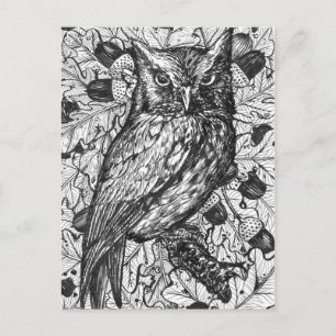 Owl Briefkaart