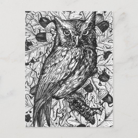 Owl Briefkaart (Voorkant)