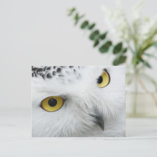 Owl Briefkaart (Staand voorkant)