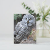 Owl Briefkaart (Staand voorkant)