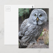 Owl Briefkaart (Voorkant / Achterkant)
