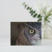 Owl briefkaart (Staand voorkant)