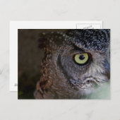 Owl briefkaart (Voorkant / Achterkant)