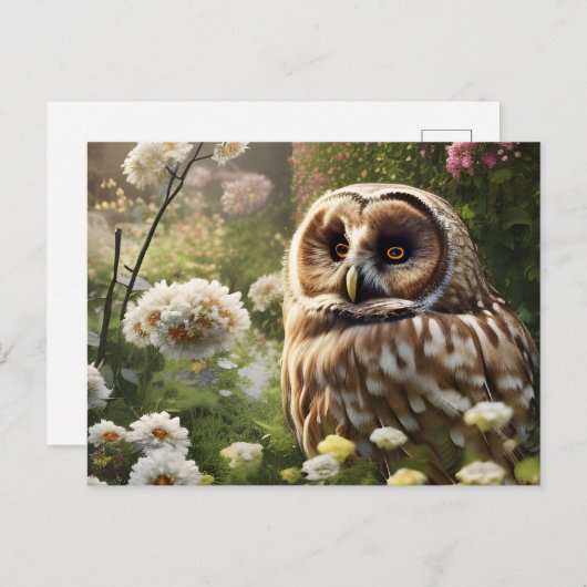 Owl Briefkaart (Voorkant / Achterkant)