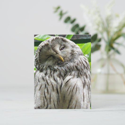 OWL BRIEFKAART (Staand voorkant)