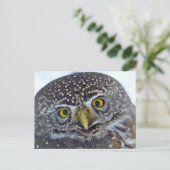 Owl Briefkaart (Staand voorkant)