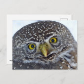 Owl Briefkaart (Voorkant / Achterkant)