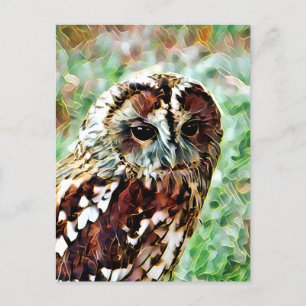 OWL BRIEFKAART