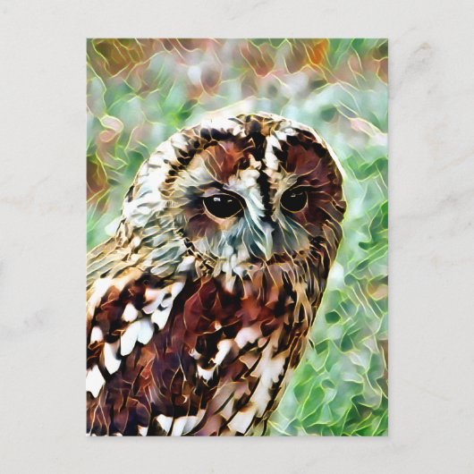 OWL BRIEFKAART (Voorkant)