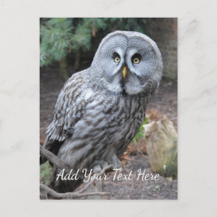 Owl Briefkaart