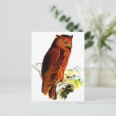 Owl Briefkaart (Staand voorkant)