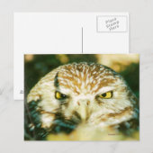 OWL-BRIEFKAART BRIEFKAART (Voorkant / Achterkant)
