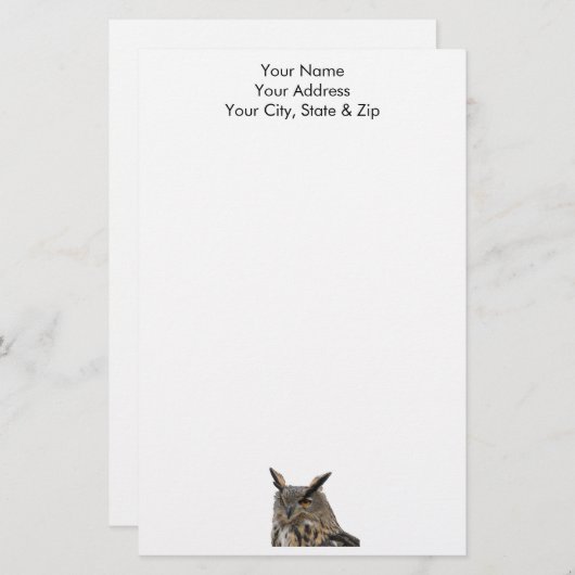 Owl Briefpapier (Voorkant / Achterkant)