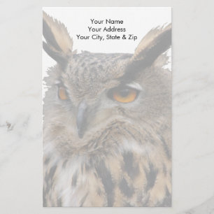 Owl Briefpapier