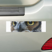Owl Bumpersticker (Op auto)