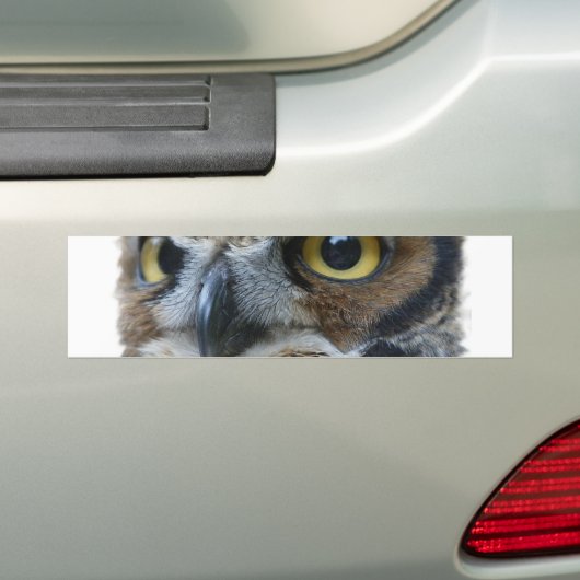 Owl Bumpersticker (Op auto)