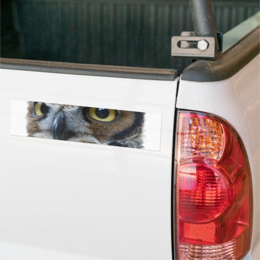 Owl Bumpersticker (Op Truck)