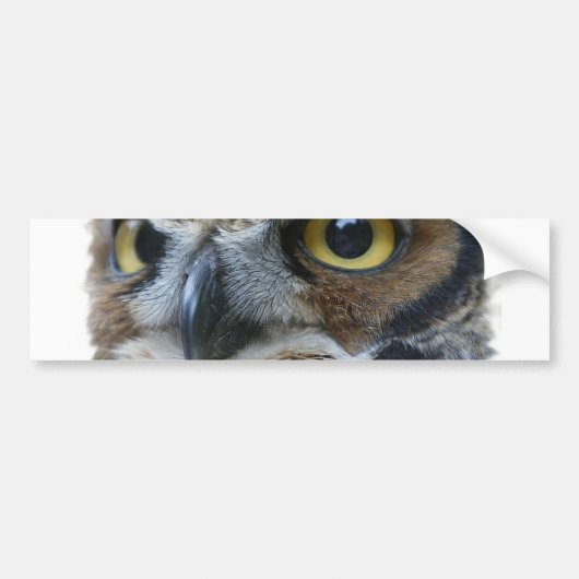Owl Bumpersticker (Voorkant)