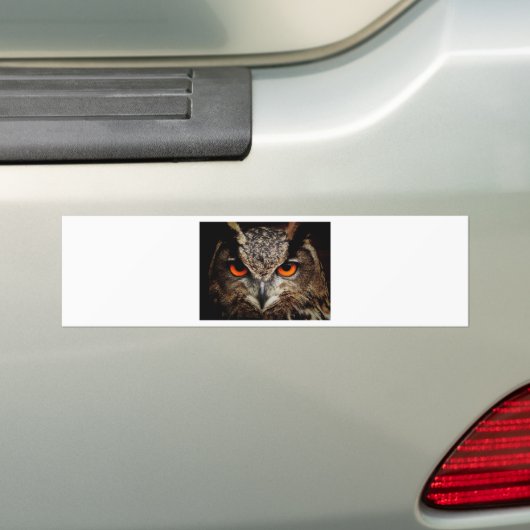 Owl Bumpersticker (Op auto)