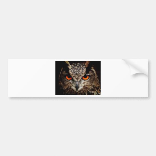 Owl Bumpersticker (Voorkant)