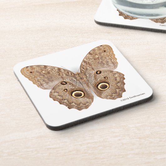 Owl Butterfly Bier Onderzetter (Linkerzijde)