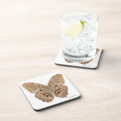 Owl Butterfly Bier Onderzetter (Rechterzijde)
