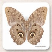 Owl Butterfly Bier Onderzetter (Voorkant)