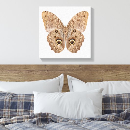 Owl Butterfly Canvas Afdruk (Insitu (Slaapkamer))