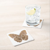 Owl Butterfly Kartonnen Onderzetters (Insitu)
