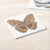 Owl Butterfly Kartonnen Onderzetters (Schuin)