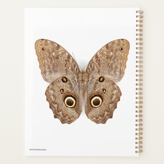 Owl Butterfly Planner (Achterkant)