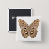 Owl Butterfly Vierkante Button 5,1 Cm (Voorkant /achterkant)