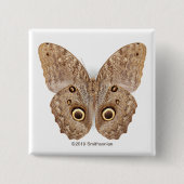 Owl Butterfly Vierkante Button 5,1 Cm (Voorkant)