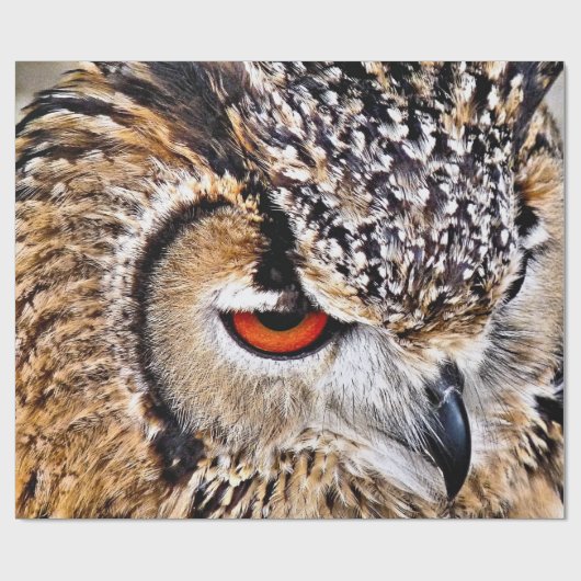 OWL CADEAUPAPIER (Vlak)