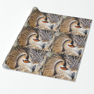 OWL CADEAUPAPIER