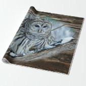 Owl Cadeaupapier (Uitgerold)