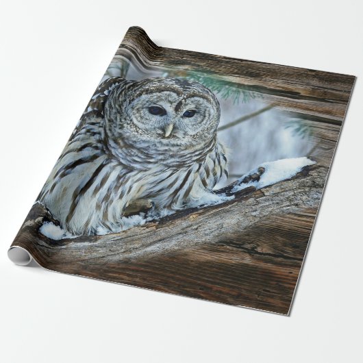 Owl Cadeaupapier (Uitgerold)