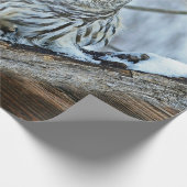 Owl Cadeaupapier (Hoek)