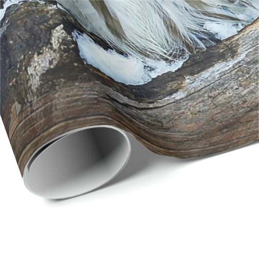 Owl Cadeaupapier (Rol Hoek)