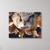 Owl Canvas Afdruk (Voorkant)