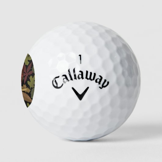 Owl Cartoon Golfballen (Logo)